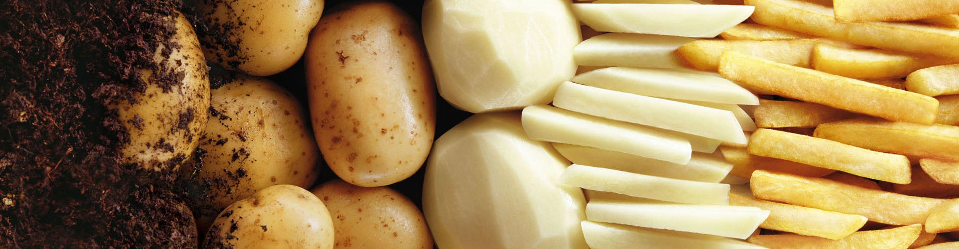 Potatoes